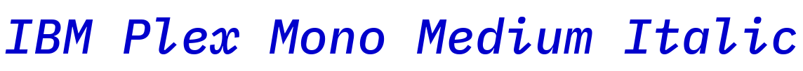 IBM Plex Mono Medium Italic フォント